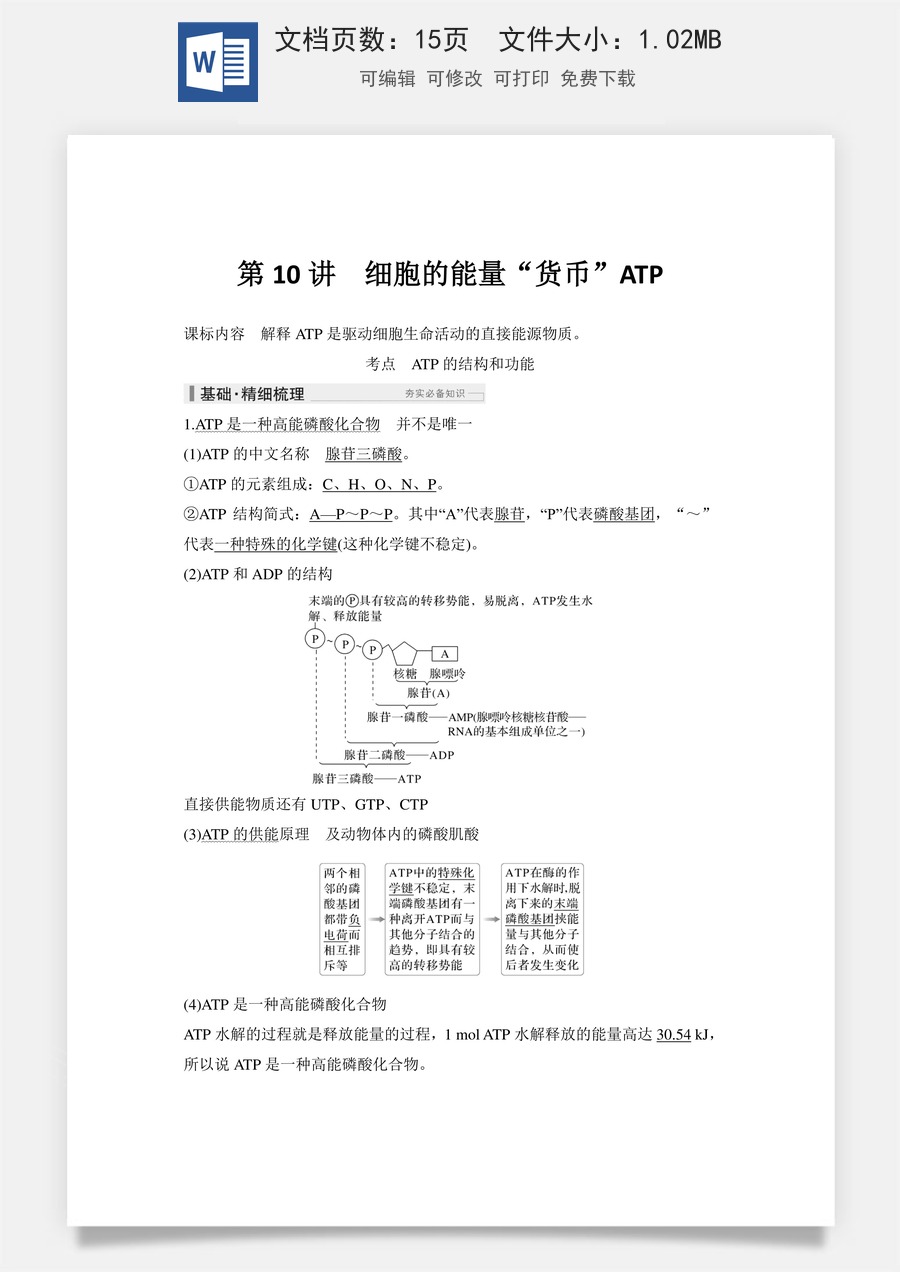 高中-高考总复习-生物-第10讲　细胞的能量“货币”ATP.doc